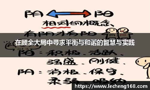 在顾全大局中寻求平衡与和谐的智慧与实践