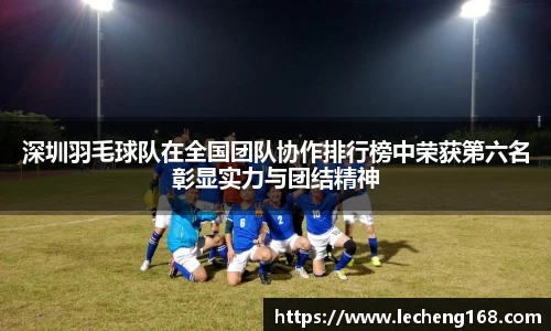 深圳羽毛球队在全国团队协作排行榜中荣获第六名彰显实力与团结精神